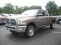 2010 Austin Tan Pearl Dodge Ram 2500 Big Horn Edition Crew Cab 4x4  photo #2