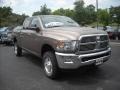 2010 Austin Tan Pearl Dodge Ram 2500 Big Horn Edition Crew Cab 4x4  photo #4