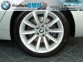 2008 Titanium Silver Metallic BMW 7 Series 750Li Sedan  photo #7