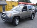 Granite Metallic - Xterra S Photo No. 3