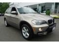 Platinum Bronze Metallic - X5 3.0si Photo No. 1