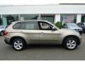 Platinum Bronze Metallic - X5 3.0si Photo No. 3