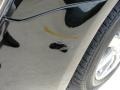 Black Clearcoat - Taurus SEL Photo No. 13