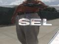 Black Clearcoat - Taurus SEL Photo No. 25