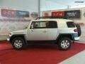 Titanium Metallic - FJ Cruiser 4WD Photo No. 5