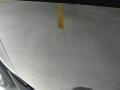 Black Clearcoat - Taurus SEL Photo No. 27