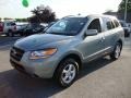 2008 Platinum Sage Hyundai Santa Fe GLS  photo #2