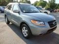 2008 Platinum Sage Hyundai Santa Fe GLS  photo #4