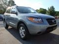 2008 Platinum Sage Hyundai Santa Fe GLS  photo #5