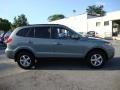 2008 Platinum Sage Hyundai Santa Fe GLS  photo #7