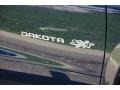 2002 Dodge Dakota SXT Regular Cab Badge and Logo Photo