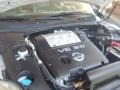 Liquid Silver Metallic - Maxima 3.5 SL Photo No. 18