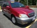 2004 Ruby Red Kia Sedona EX  photo #7