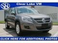 Alpine Grey Metallic - Tiguan S Photo No. 1