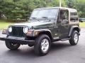 Moss Green Pearl - Wrangler SE 4x4 Photo No. 12
