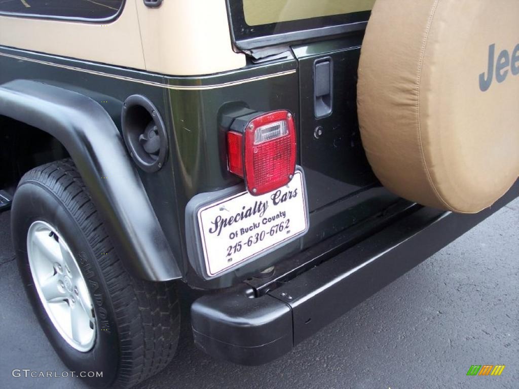 1997 Wrangler SE 4x4 - Moss Green Pearl / Tan photo #19