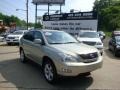 Bamboo Green Pearl - RX 350 AWD Photo No. 1