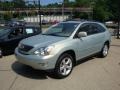 Bamboo Green Pearl - RX 350 AWD Photo No. 5