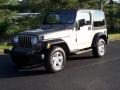 Light Khaki Metallic - Wrangler X 4x4 Photo No. 1