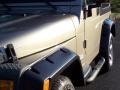 Light Khaki Metallic - Wrangler X 4x4 Photo No. 5