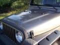 Light Khaki Metallic - Wrangler X 4x4 Photo No. 6