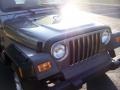 Light Khaki Metallic - Wrangler X 4x4 Photo No. 9