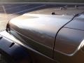 Light Khaki Metallic - Wrangler X 4x4 Photo No. 19