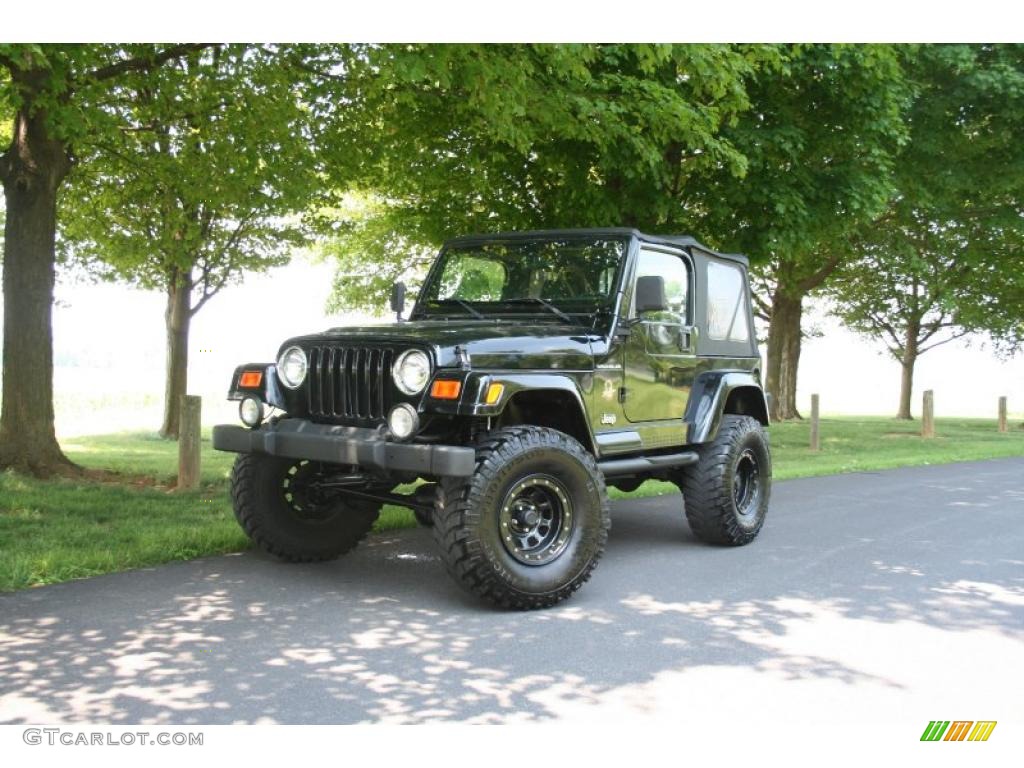 2002 Wrangler Sahara 4x4 - Black / Camel Beige/Dark Green photo #1