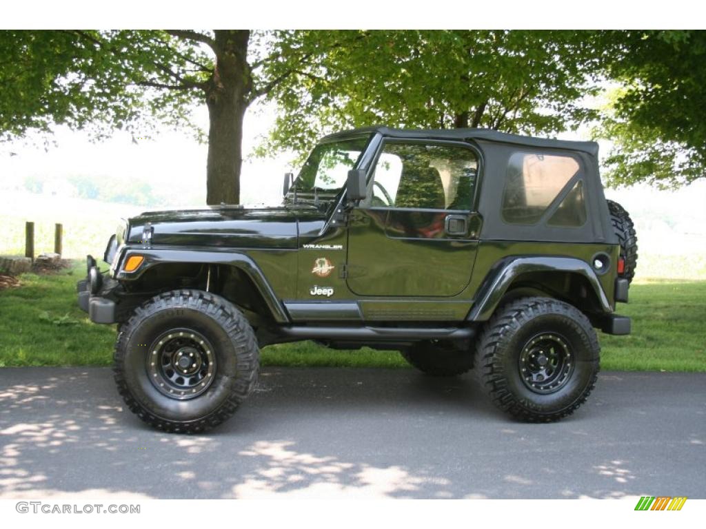 2002 Wrangler Sahara 4x4 - Black / Camel Beige/Dark Green photo #2