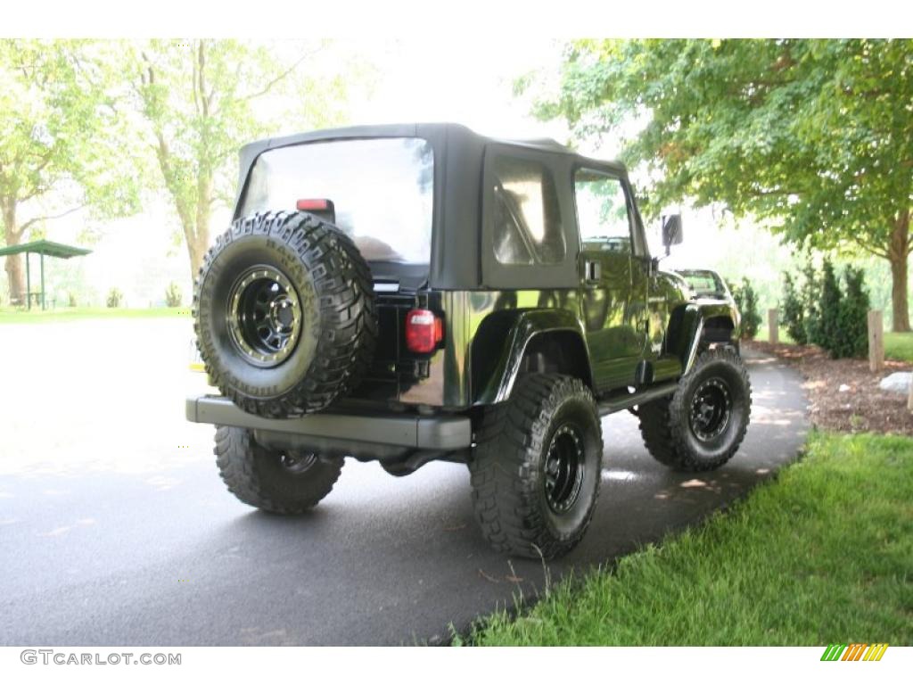 2002 Wrangler Sahara 4x4 - Black / Camel Beige/Dark Green photo #5