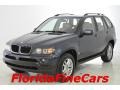 2004 Toledo Blue Metallic BMW X5 3.0i  photo #1