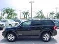 2008 Black Ford Escape Limited  photo #10