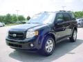 2008 Black Ford Escape Limited  photo #14