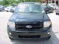 2008 Black Ford Escape Limited  photo #15