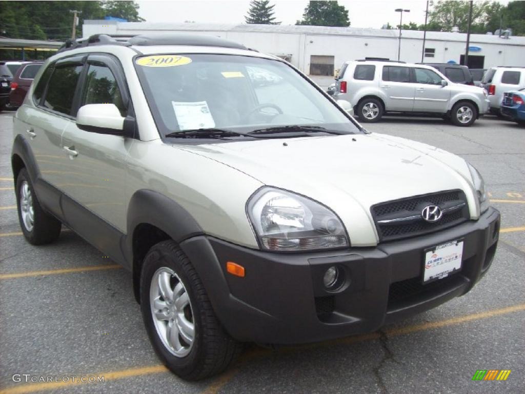 Desert Sage Metallic Hyundai Tucson