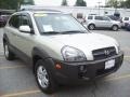 2007 Desert Sage Metallic Hyundai Tucson Limited 4WD  photo #1