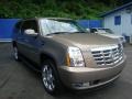 Radiant Bronze - Escalade ESV AWD Photo No. 6