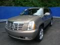 Radiant Bronze - Escalade ESV AWD Photo No. 8
