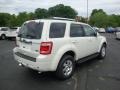 2010 White Suede Ford Escape Limited V6 4WD  photo #3