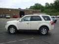 2010 White Suede Ford Escape Limited V6 4WD  photo #6