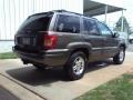 Taupe Frost Metallic - Grand Cherokee Limited 4x4 Photo No. 16