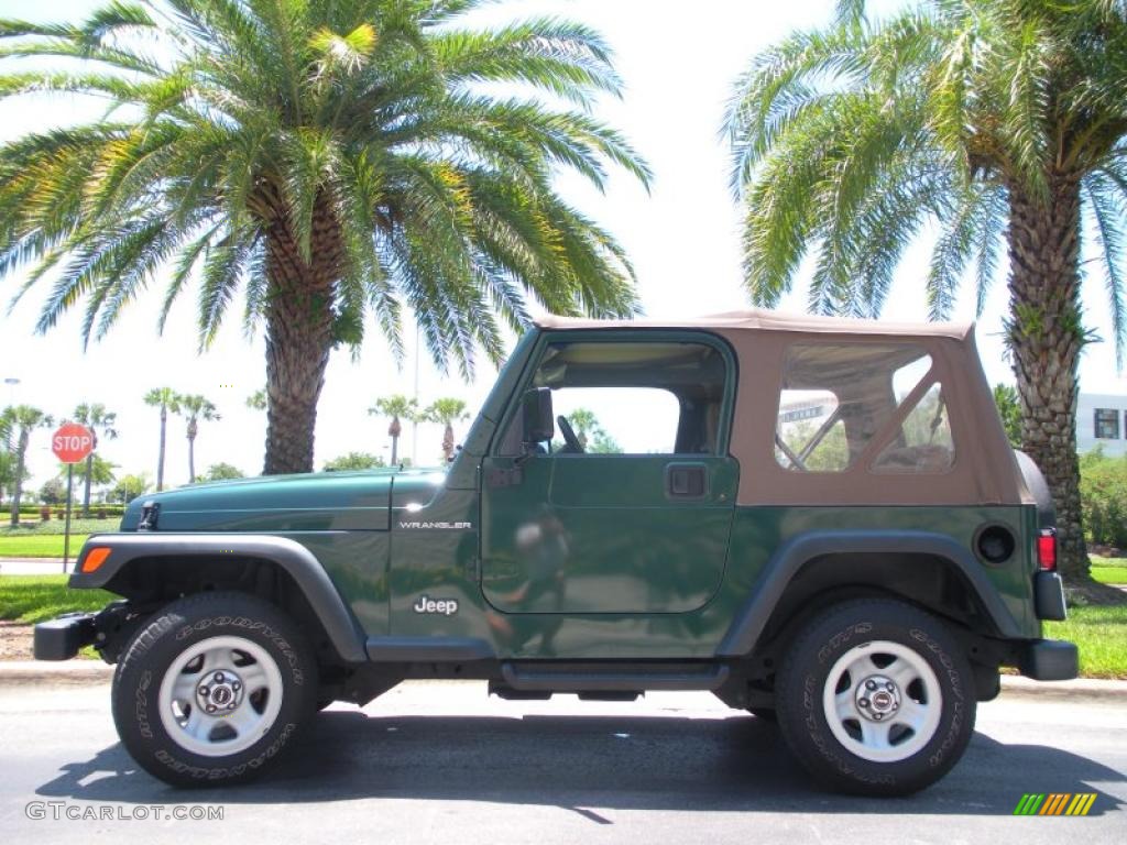 1999 Wrangler SE 4x4 - Medium Fern Green Pearlcoat / Camel photo #1