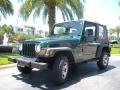 1999 Medium Fern Green Pearlcoat Jeep Wrangler SE 4x4  photo #2