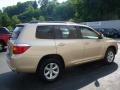 Sandy Beach Metallic - Highlander 4WD Photo No. 5