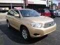 Sandy Beach Metallic - Highlander 4WD Photo No. 6