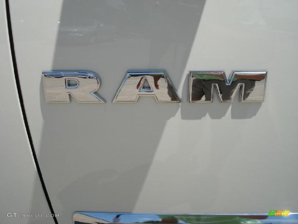 2010 Ram 1500 Big Horn Crew Cab 4x4 - Stone White / Dark Slate/Medium Graystone photo #20