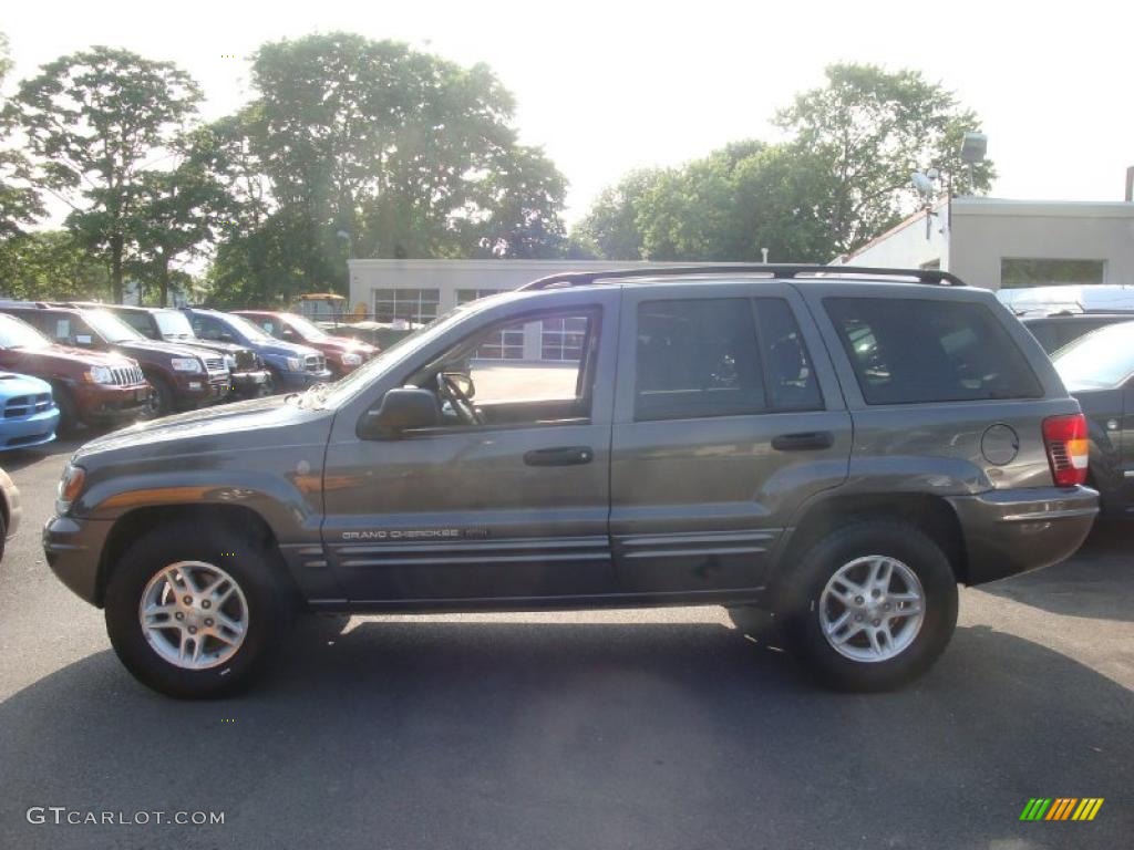 2004 Grand Cherokee Laredo 4x4 - Dark Khaki Pearl / Dark Slate Gray photo #8