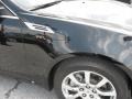 Black Raven - CTS Sedan Photo No. 54