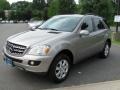 Pewter Metallic - ML 350 4Matic Photo No. 2