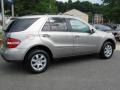Pewter Metallic - ML 350 4Matic Photo No. 4